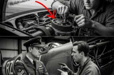 How a Stubborn RAF Mechanic Accidentally Installed a Prototype Gearbox Backwards, Turned a Damaged Spitfire into a Low-Altitude Rocket, Out-Accelerated a Pursuing Bf 109, and Sparked Years of Arguments About Luck, Skill, and Engineering
