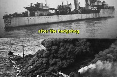 They Laughed at “Ice Bullets From the Colonies” – Until a Quiet Team in Halifax Built a Secret Canadian Shell That Could Punch Through a U-Boat’s Pressure Hull and Send It Down With One Hit in the North Atlantic Night