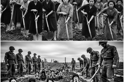 Terrified Japanese Women Forced to Dig Mysterious Trenches Thought Their Fate Was Sealed Until Unexpected U.S. Soldiers Arrived, Quietly Filled the Earth Back In, Revealed a Startling Hidden Mission, and Led the Shocked Women Toward a Safety No One Ever Imagined Possible Amid Wartime Chaos