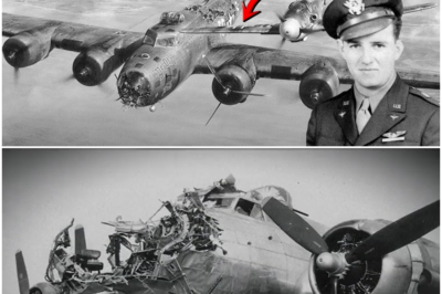 “He Spent Four Decades Waiting for an Answer: The Forgotten Pilot Who Vanished from the Skies Until a Dust-Covered Letter Suddenly Reappeared and Exposed a Hidden Chain of Promises, Secrets, Betrayals, and Unfinished Destinies That Would Rewrite His Entire Life Overnight”