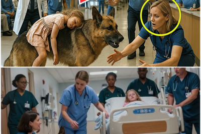 “A Police Dog Staggered Into the Hospital Carrying a Wounded Little Girl—Moments Later Doctors Froze as the Injured K-9 Led Them on a Trail of Clues, Hidden Rooms, Vanished Footprints, and a Shocking Discovery No One Expected to Unravel That Night”
