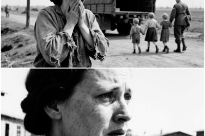 “A German Mother in Captivity Watched in Horror as American Officers Quietly Led Her Three Children Away, But the Shocking Discovery Two Days Later Revealed a Hidden Plan, Secret Motives, and Emotional Revelations That Completely Transformed Everything She Thought She Knew”