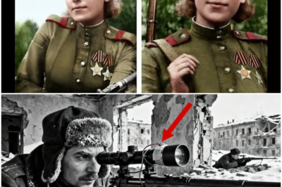 The Forbidden Fix: How One Sniper’s ‘Illegal’ Weapon Hack Decimated the German Command in Stalingrad