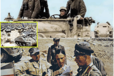 German General Who Decimated 300 British Tanks Faced A Terrifying New Challenge—800 Shermans Loomed The Very Next Morning!