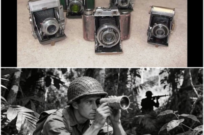 THE ‘STOLEN’ SECRET: How One Private’s Unauthorized Lens Spotted Japanese Snipers Invisible to Every Other U.S. Soldier