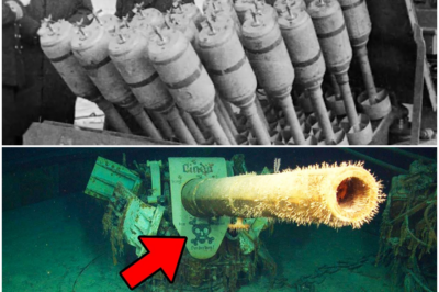 The Silent Steel Trap: This Underdog Weapon Decimated the U-Boat Fleet and Won the Battle of the Atlantic