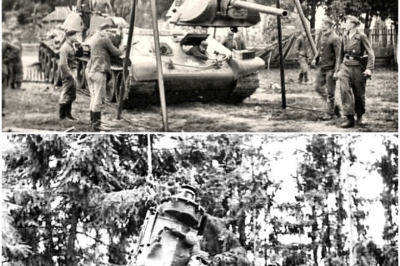 TECH PERFECTION VS. MASS PRODUCTION: Why Germany’s Complex Tiger Tanks Lost the War Against Soviet Simplicity