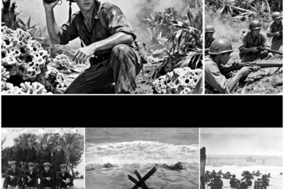 The Forbidden Weapon: How One Private Defied Orders, Used the ‘Wrong’ Grenades, and Became a Legend in the Pacific